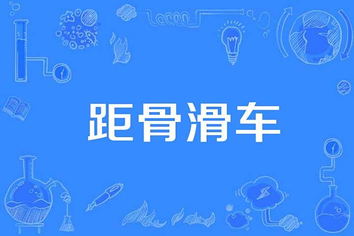 距骨滑車 距骨滑車