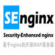 SEnginx SEnginx
