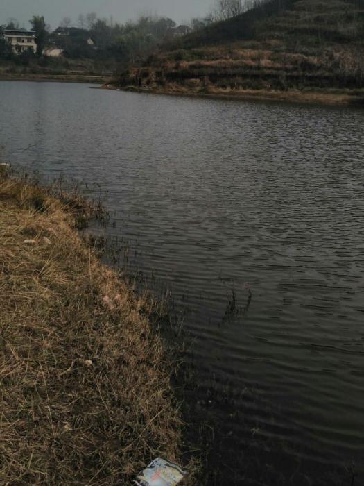 高灘河 高灘河
