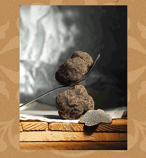 松露菌(Truffle) 松露菌(Truffle)