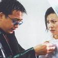 城市女人心 城市女人心