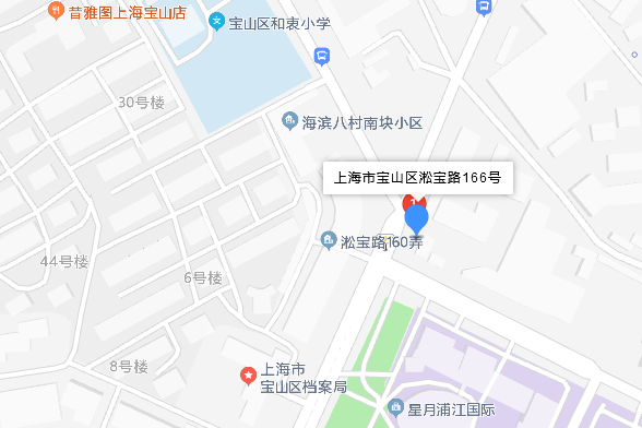 淞寶路166號 淞寶路166號