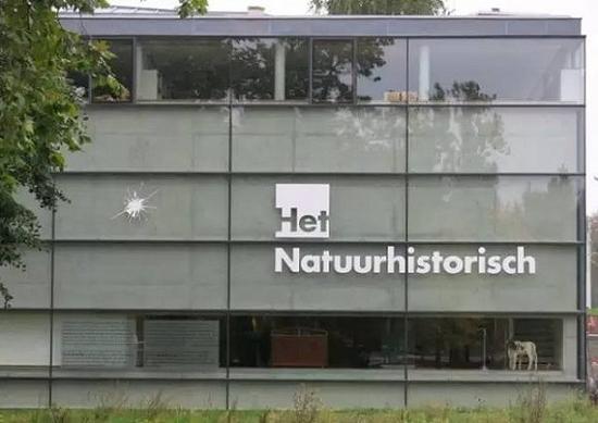 鹿特丹自然史博物館