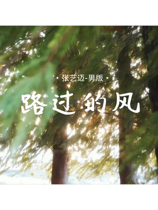 路過的風 路過的風
