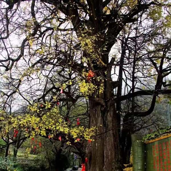 水洞寺 水洞寺