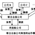 聯合自保公司 聯合自保公司