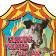 Circus Tricks for Your Dog Circus Tricks for Your Dog