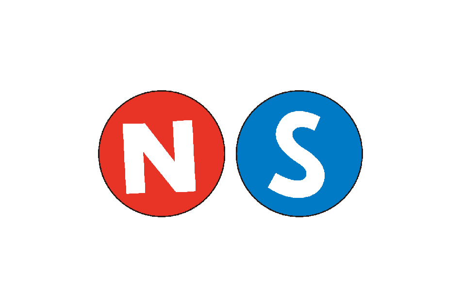 NS徽章 NS徽章