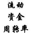 資本周轉率 資本周轉率