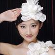 美女效應 美女效應