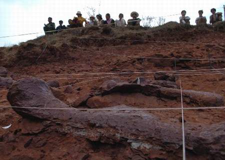 天頭山恐龍化石發掘