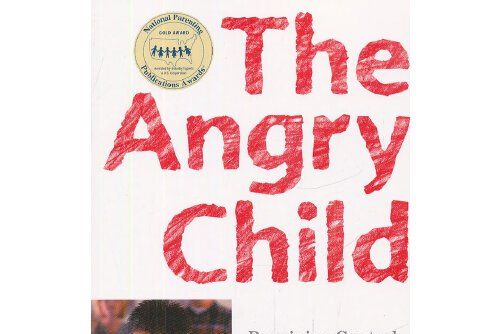 angry child, the angry child, the