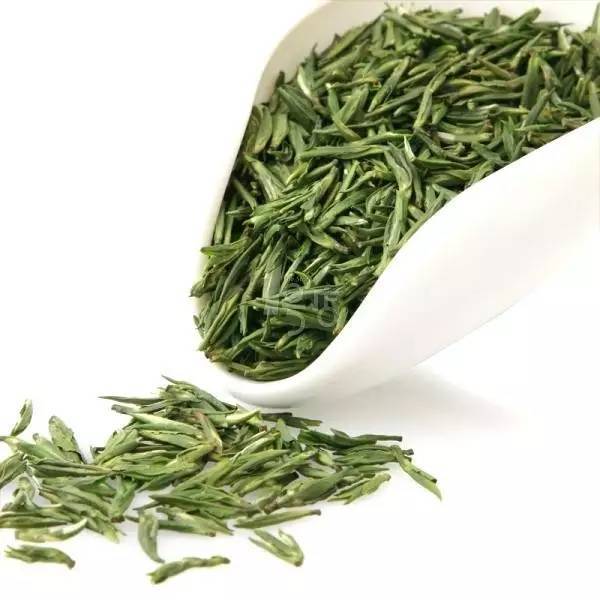 嶗山茶(青島綠茶) 嶗山茶(青島綠茶)