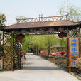 王金村(河北省鹽山縣王金村) 王金村(河北省鹽山縣王金村)