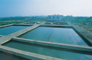 良井水廠