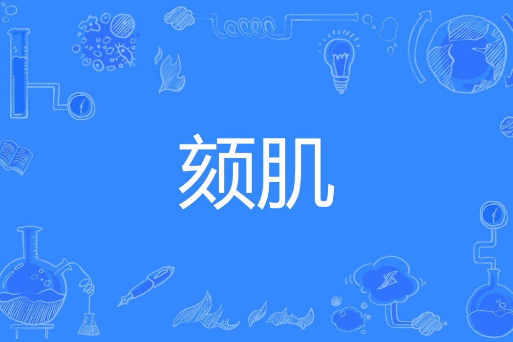 頦肌 頦肌