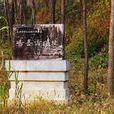 碭縣故城 碭縣故城