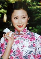 金粉世家(2003年陳坤、董潔主演電視劇)
