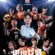 男排女將 男排女將