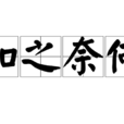 如之奈何 如之奈何