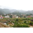 頭村(雲南省昆明市五華區沙朗鄉下轄村) 頭村(雲南省昆明市五華區沙朗鄉下轄村)