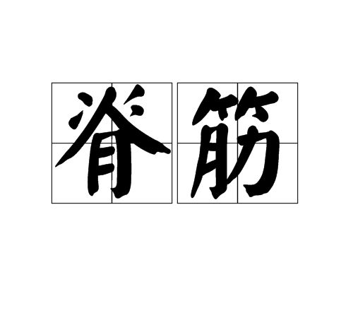 脊筋 脊筋