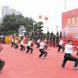 南枝拳 南枝拳