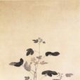 木棉圖 木棉圖