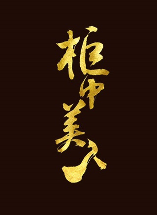 何晴(安徽籍貫女演員)