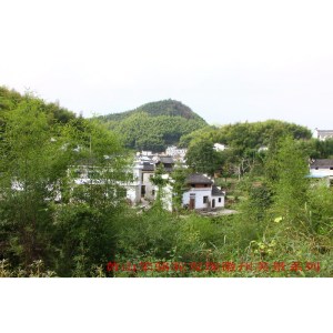 靈山水街