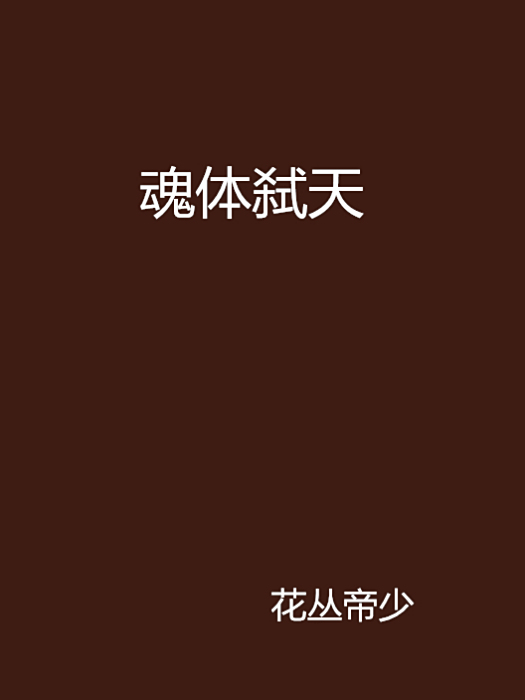 魂體弒天 魂體弒天