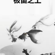 極宙之上 極宙之上