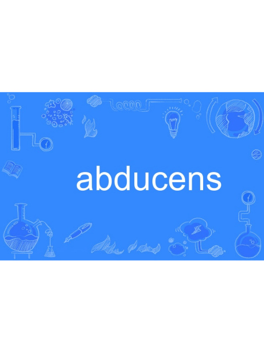 abducens abducens
