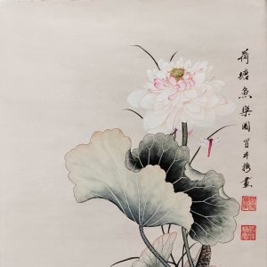 冒井梅 冒井梅