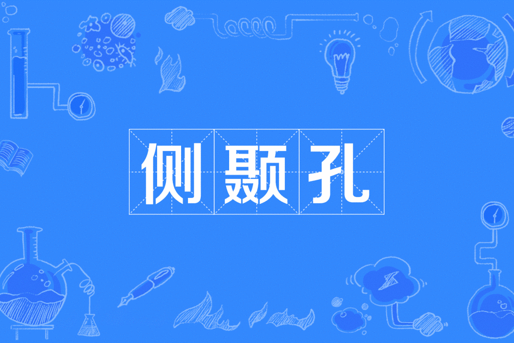 側顳孔 側顳孔