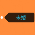 未婚(詞語) 未婚(詞語)