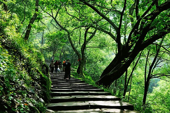 龍脊古道 龍脊古道