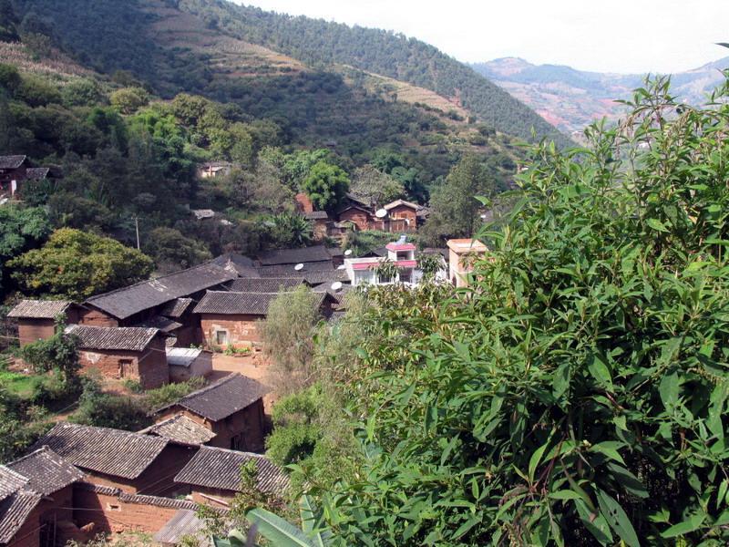 武定莊村 武定莊村