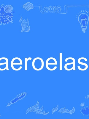 aeroelastic aeroelastic