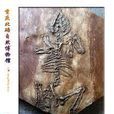 張和獸屬 張和獸屬