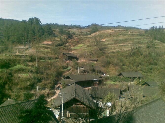 排抽村 排抽村