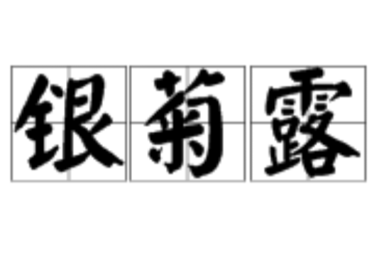 銀菊露 銀菊露