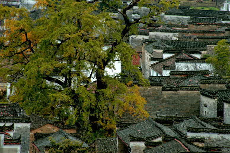 慶源古村 慶源古村