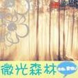 微光森林