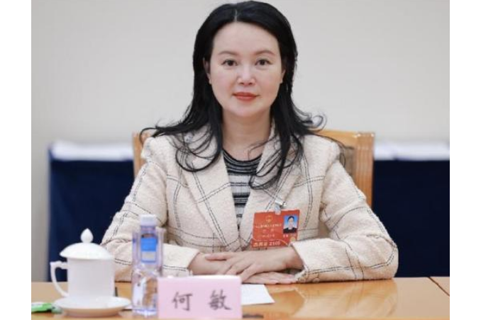 何敏(四川省好彩頭實業股份有限公司董事長) 何敏(四川省好彩頭實業股份有限公司董事長)
