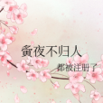 夤夜不歸人 夤夜不歸人
