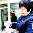 程紅(山西省太原市交警支隊民警) 程紅(山西省太原市交警支隊民警)