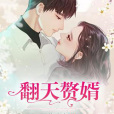 翻天贅婿 翻天贅婿