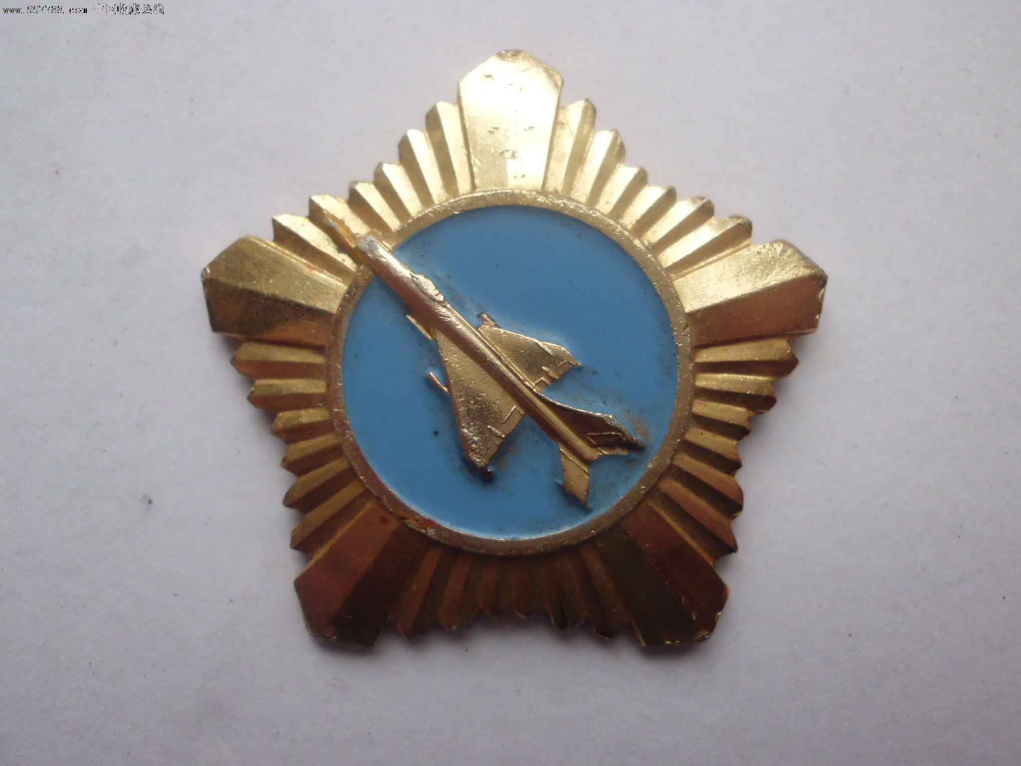 空軍飛行紀念章
