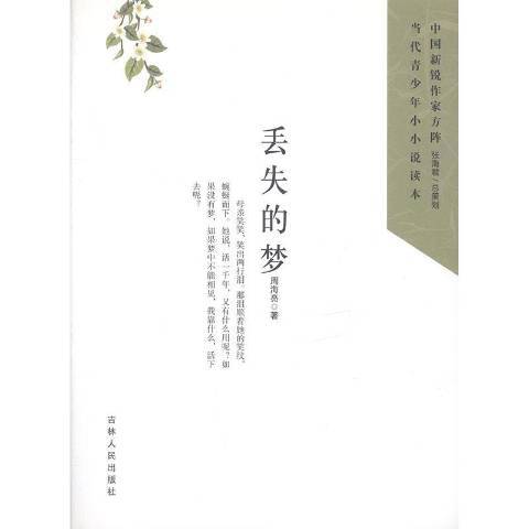 丟失的夢 丟失的夢